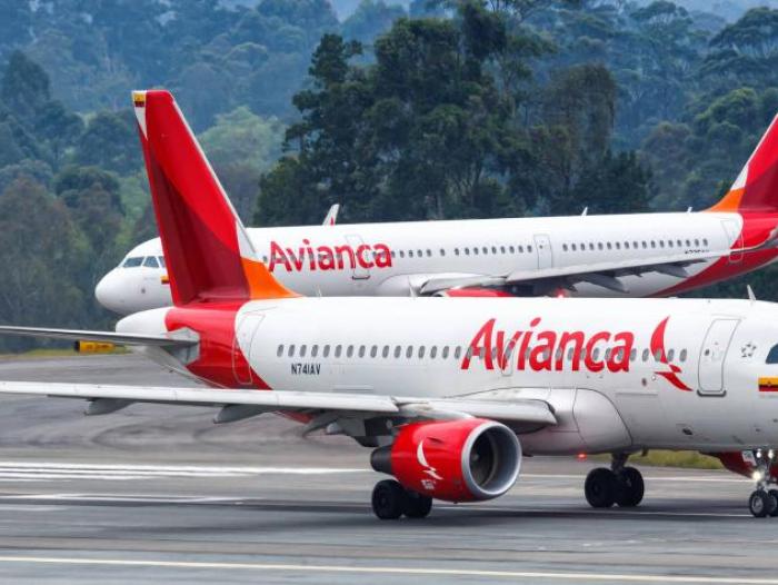 viaje de mascotas en Avianca